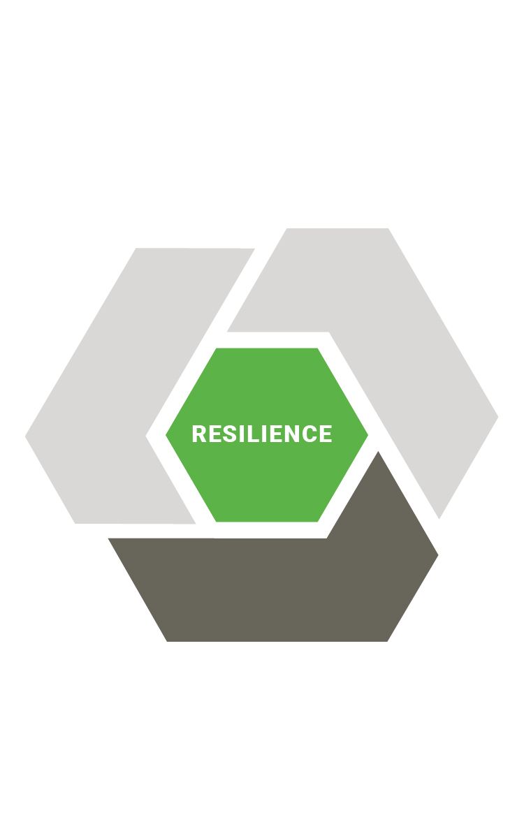 alixpartners transformative leader model resilience 2022