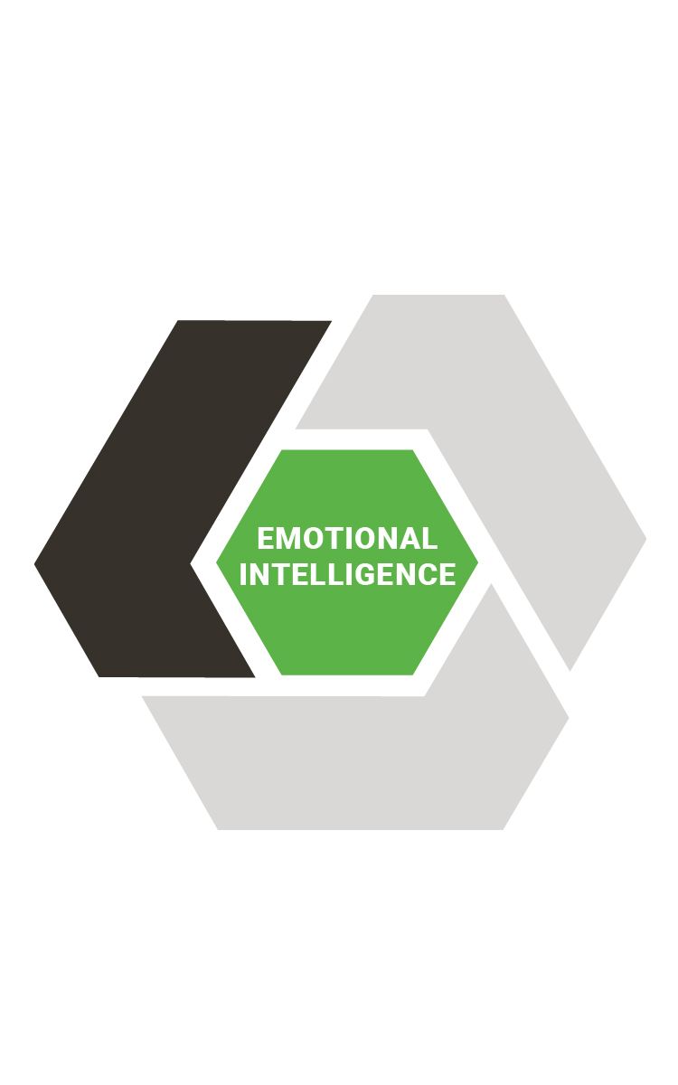 alixpartners transformative leader model emotional intelligence 2022