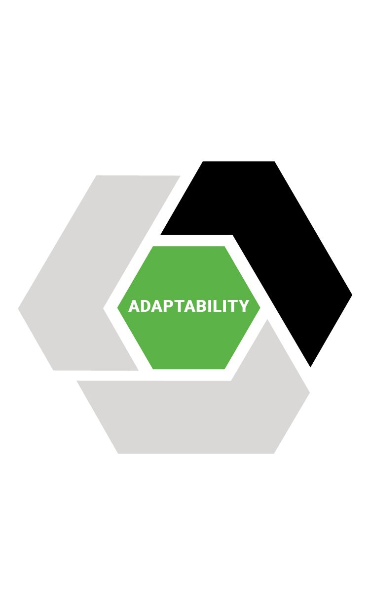 alixpartners transformative leader model adaptability 2022